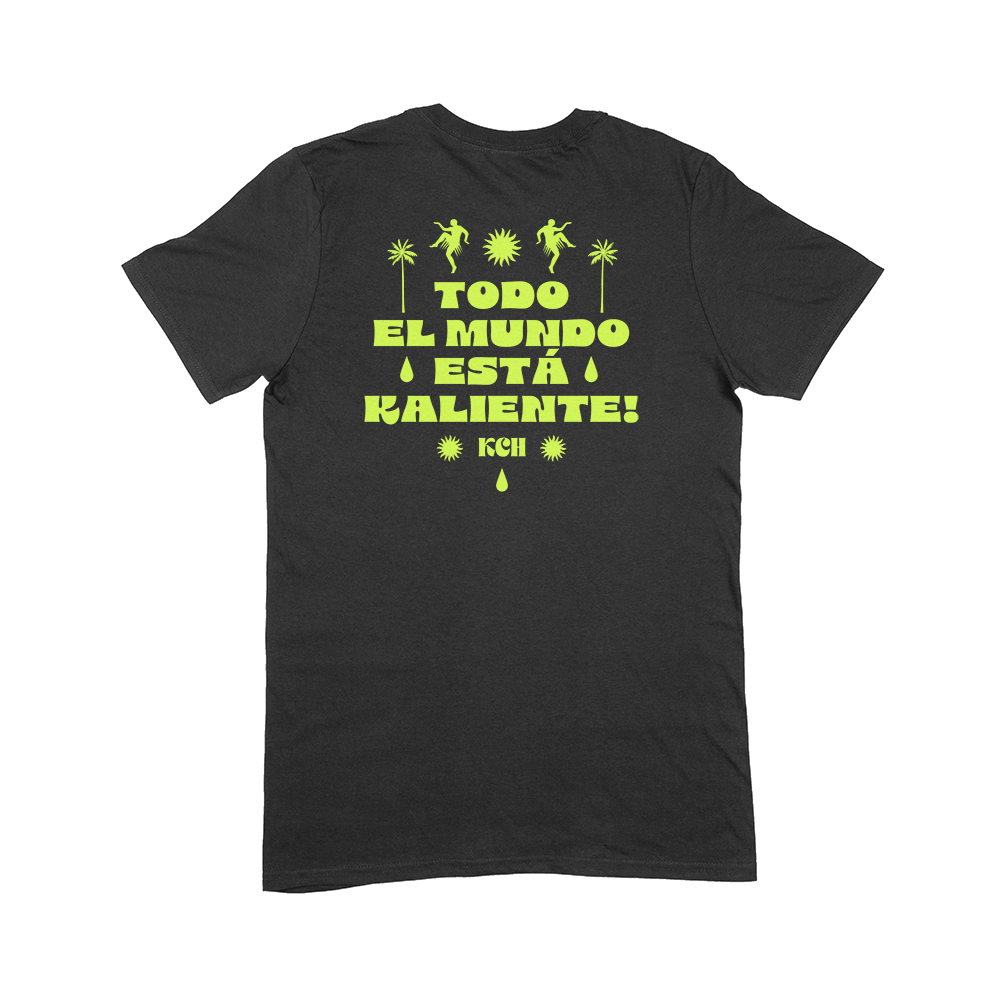 Playera - TEMEK